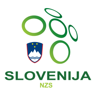 NZS Logo PNG Vector