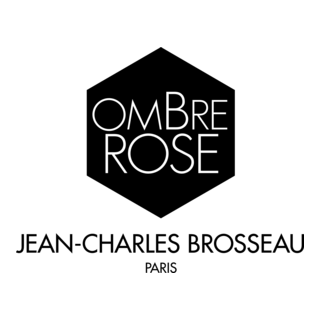 Ombre Rose Logo PNG Vector