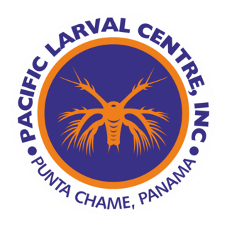 PACIFIC LARVAL Logo PNG Vector