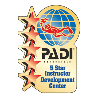 Padi Logo PNG Vectors Free Download