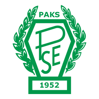 Paksi SE Logo PNG Vector
