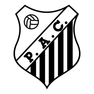 Palmital Atletico Clube de Palmital-SP Logo PNG Vector