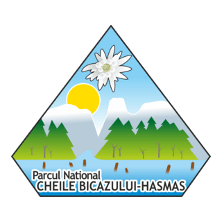 Parcul National Cheile Bicazului-Hasmas Logo PNG Vector