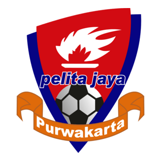 Persatuan Sepak Bola Pelita Jaya Logo PNG Vector
