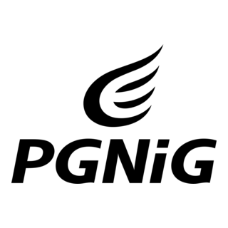 PGNiG Logo PNG Vector