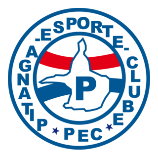 Pitanga Esporte Clube Logo PNG Vector
