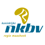 NKBV Logo PNG Vector