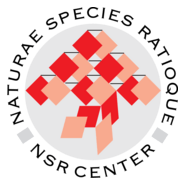 NSR Center Logo PNG Vector