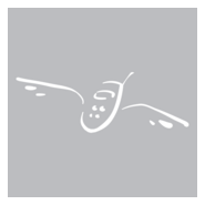 Oiseau Logo PNG Vector