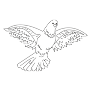 paloma Logo PNG Vector