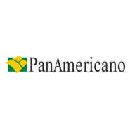 PanAmericano Logo PNG Vector