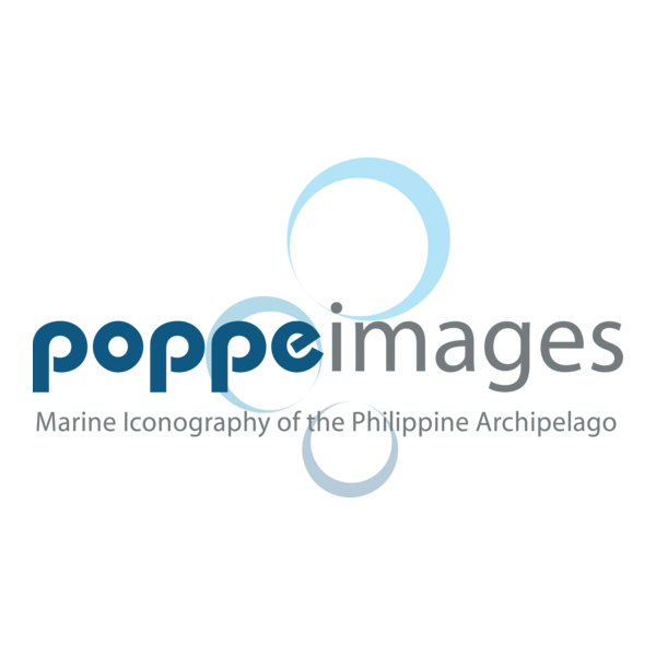 Poppeimages Logo PNG Vector