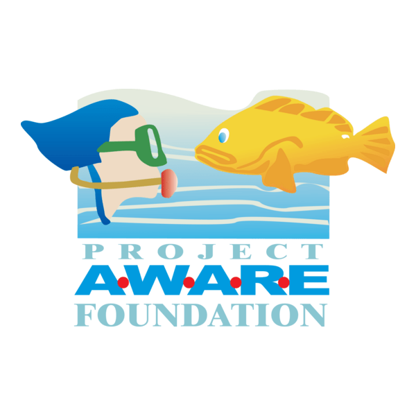 project aware foundation Logo PNG Vector