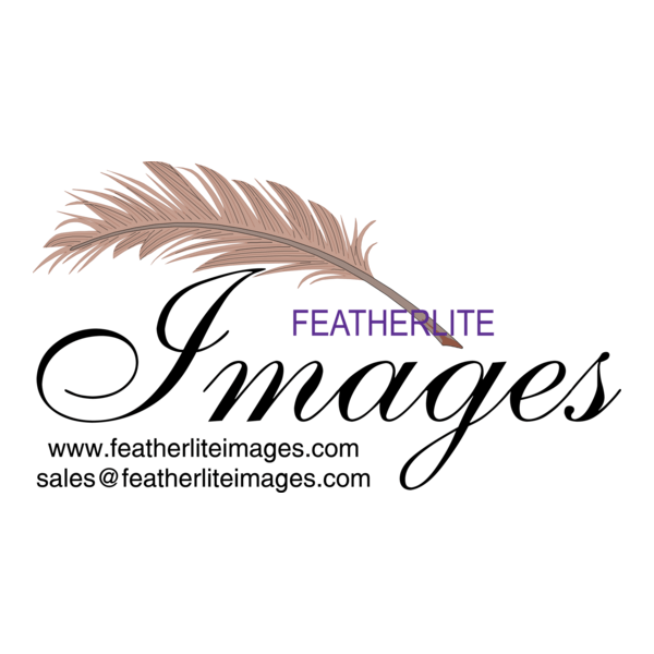 PROMOTIONAL PRINT Logo PNG Vector