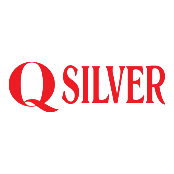 Q Silver Logo PNG Vector