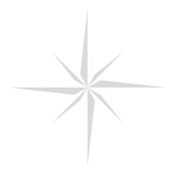radu north star Logo PNG Vector