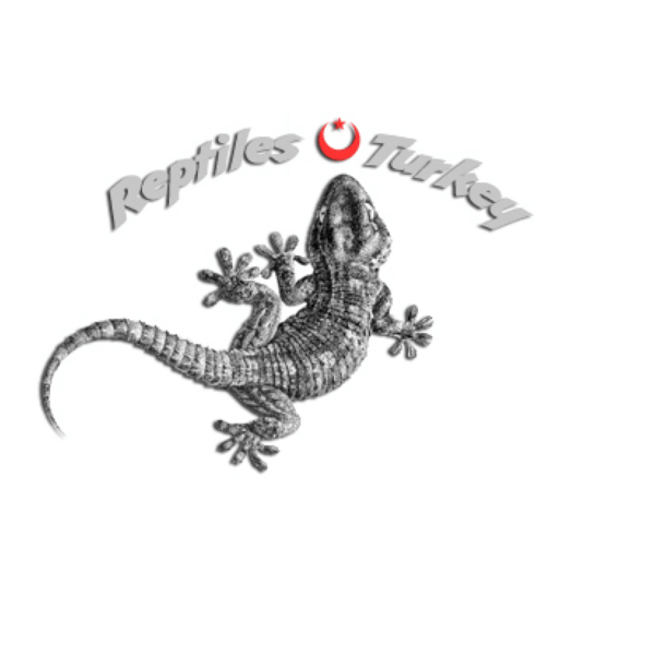 Reptiles Turkey Logo PNG Vector
