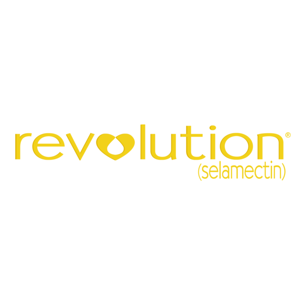 Revolution Logo PNG Vector