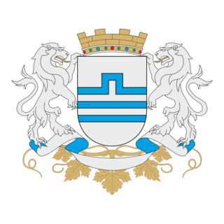 Podgorica Logo PNG Vector