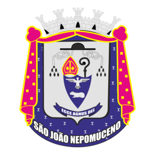 Prefeitura Municipal de São João Nepomuceno Logo PNG Vector