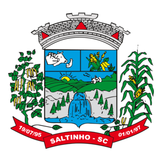 Prefeitura Saltinho - SC Logo PNG Vector