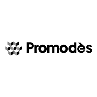 Promodes Logo PNG Vector