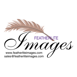 PROMOTIONAL PRINT Logo PNG Vector