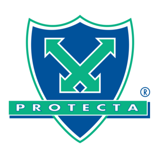 protecta Logo PNG Vector