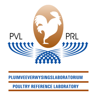 PVL PRL Logo PNG Vector