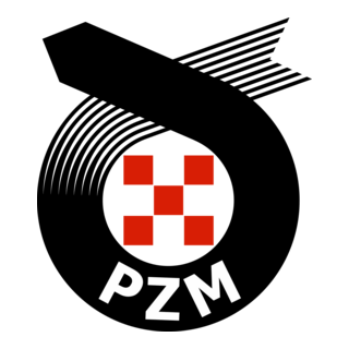PZM Logo PNG Vector