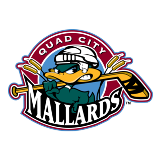 Quad City Mallards Logo PNG Vector