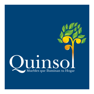 Quinsol Logo PNG Vector