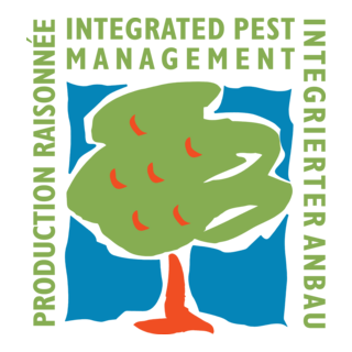 Raisonnee Production Logo PNG Vector