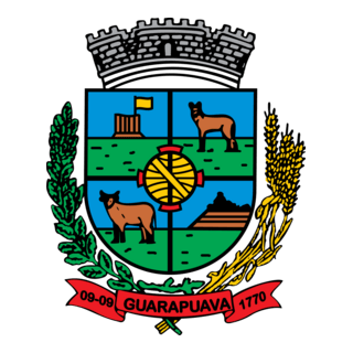 Rede Municipal de Ensino Guarapuava Logo PNG Vector