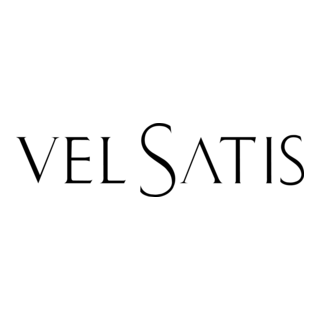 Renault VelSatis Logo PNG Vector