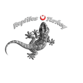 Reptiles Turkey Logo PNG Vector