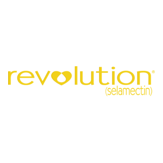 Revolution Logo PNG Vector