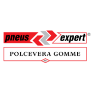 Pneus Expert Logo PNG Vector