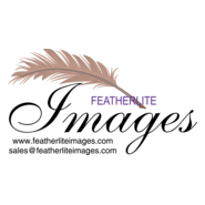 PROMOTIONAL PRINT Logo PNG Vector