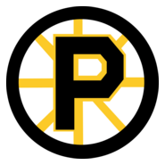 Providence Bruins Logo PNG Vector