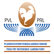 PVL PRL Logo PNG Vector