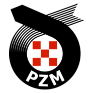 PZM Logo PNG Vector