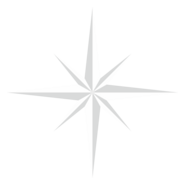 radu north star Logo PNG Vector