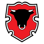 Rigas Miesnieks Logo PNG Vector