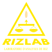 Rizlab Logo PNG Vector