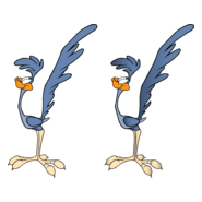 Roadrunner Logo PNG Vector