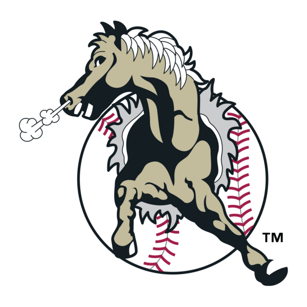 San Bernardino Stampede Logo PNG Vector