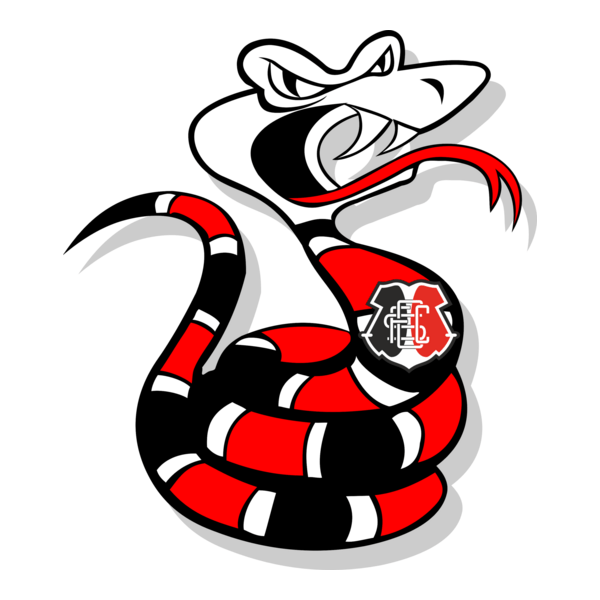 Santa Cruz Futebol Clube - Mascot Logo PNG Vector