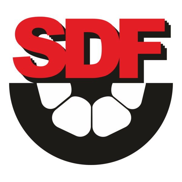 SD Flamengo Logo PNG Vector
