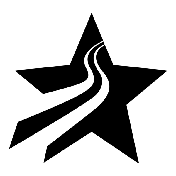 Silver Star Logo PNG Vector